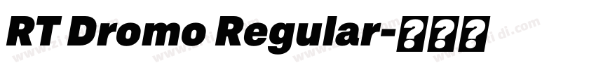 RT Dromo Regular字体转换 RT Dromo Regular字体转换
